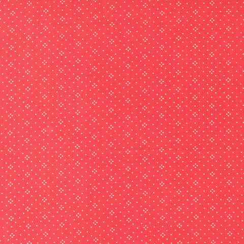 Eyelet Fabric by Fig Tree Quilts for Moda - Strawberry Red Eyelet Dot Fabric