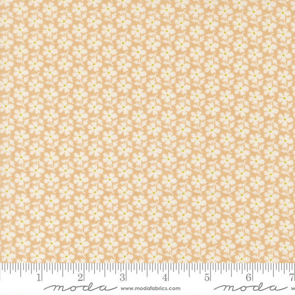 Summer's End Fabric by Fig Tree Quilts for Moda - Tan & Cream Small Daisy Fabric