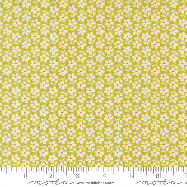 Summer's End Fabric by Fig Tree Quilts for Moda - Green & Cream Small Daisy Fabric