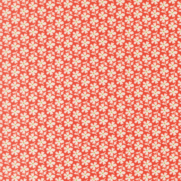 Summer's End Fabric by Fig Tree Quilts for Moda - Red & Cream Small Daisy Fabric