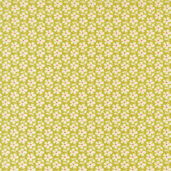 Summer's End Fabric by Fig Tree Quilts for Moda - Green & Cream Small Daisy Fabric