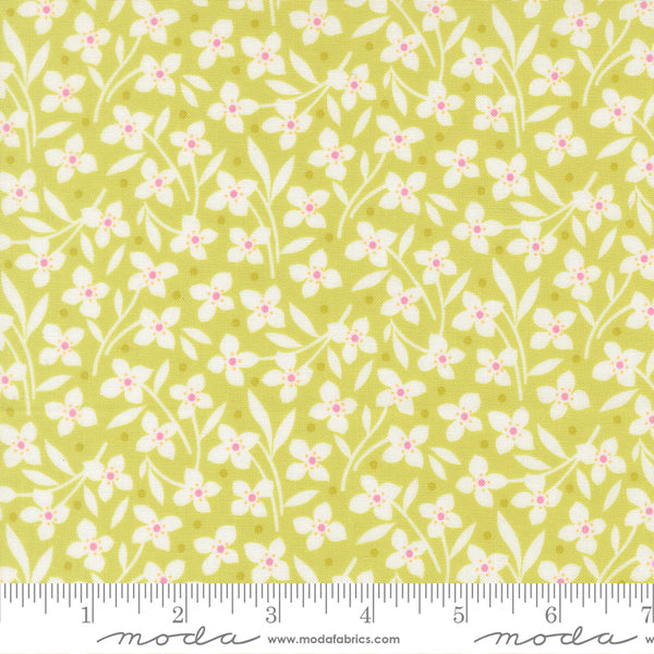 Summer's End Fabric by Fig Tree Quilts for Moda - Light Green & Cream Small Floral Fabric