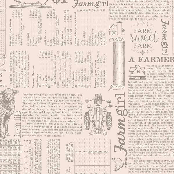 Farmer's Daughter Fabric by Lori Holt for Riley Blake - Beige and Gray Farm Life Fabric